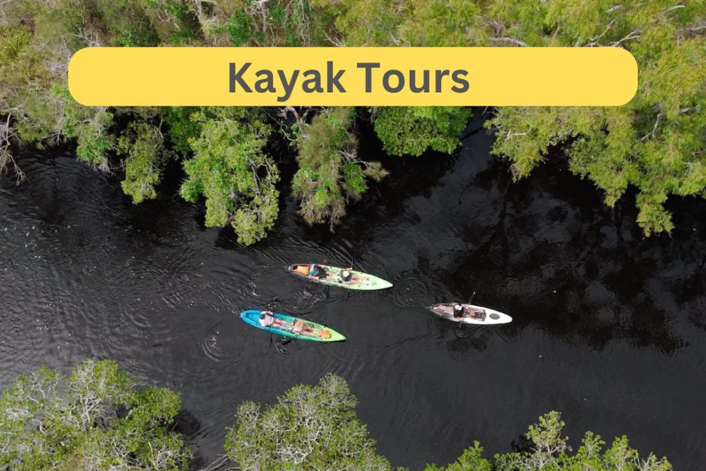 Everglade Kayak TOurs